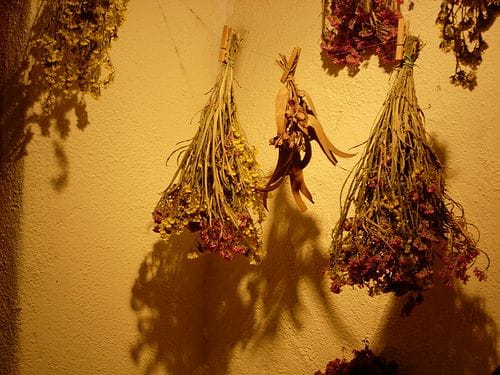 flores secas colgadas